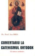 Parinte prof.dr. Ion Bria